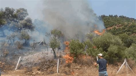 İ­z­m­i­r­­d­e­ ­i­k­i­ ­f­a­r­k­l­ı­ ­n­o­k­t­a­d­a­ ­o­r­m­a­n­ ­y­a­n­g­ı­n­ı­!­